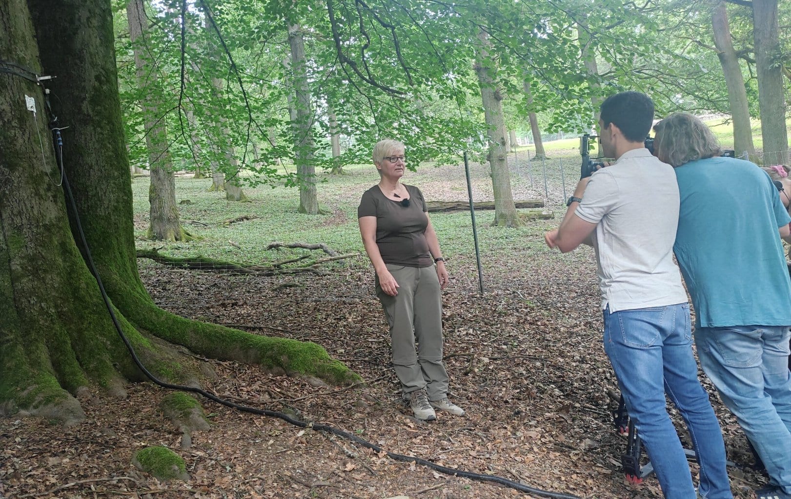 RTL West besucht unsere Twittering Trees