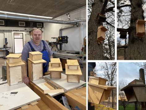 4 neue Nistkasten