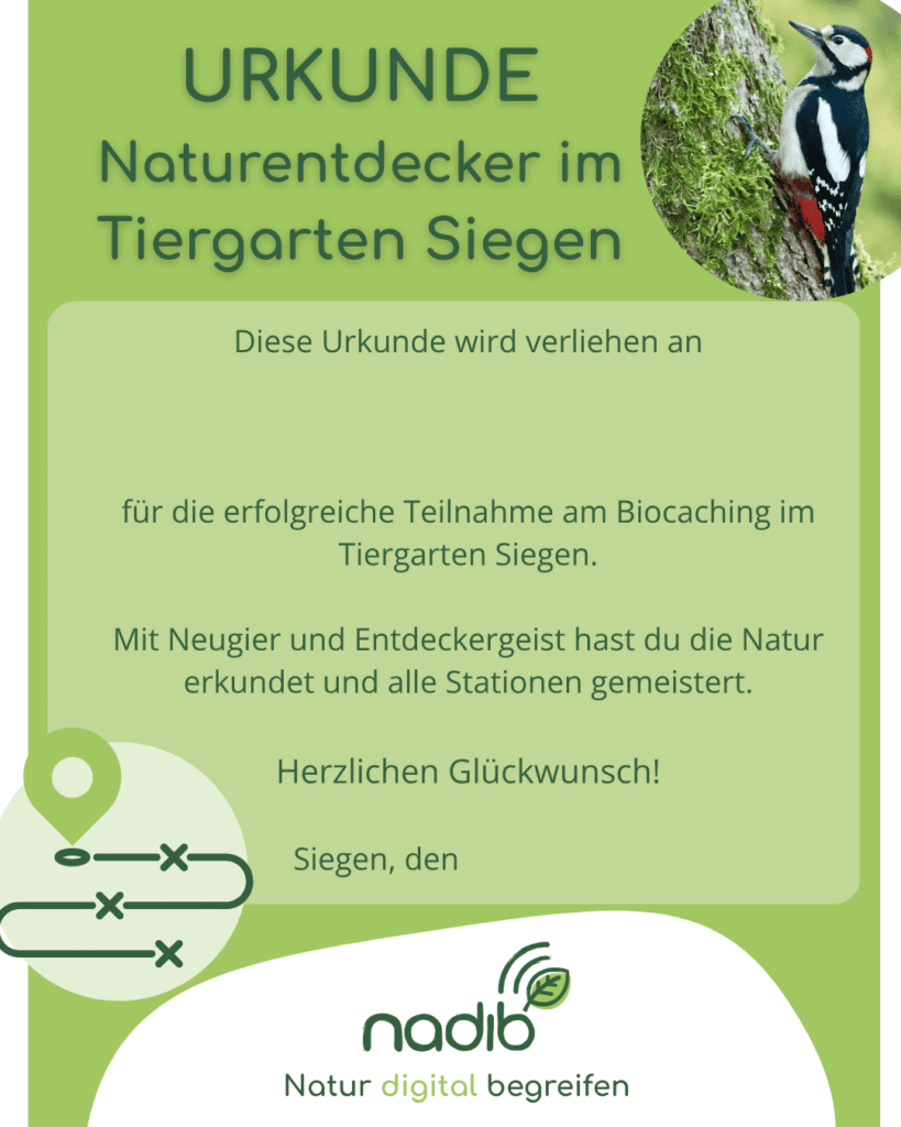 Urkunde