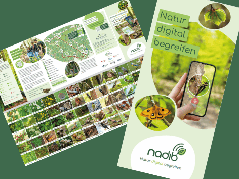 Unsere Projektflyer und Naturentdecker-Flyer sind fertig!