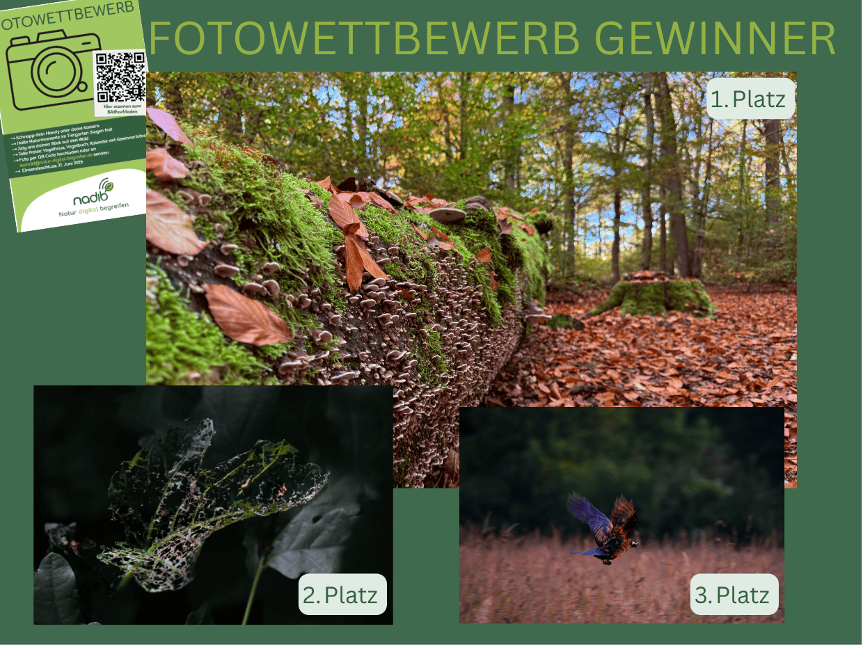 Fotowettbewerb im Tiergarten Siegen: Besucher zeigen ihre schönsten Naturmomente